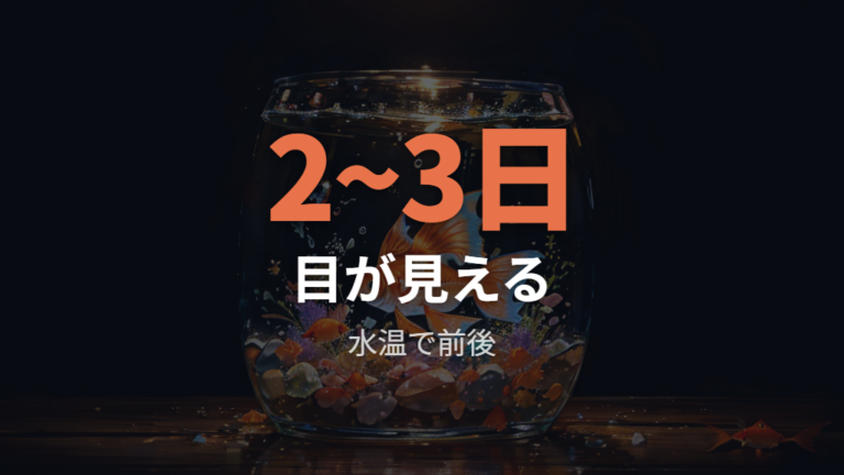 卵に目が見えるまでの日数は水温で前後する2〜3日を目安にする
