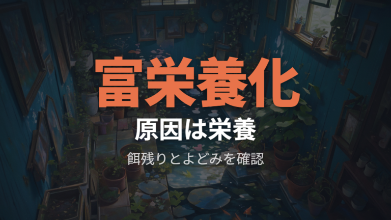 水槽にカビが出る主な原因は富栄養化に集まる