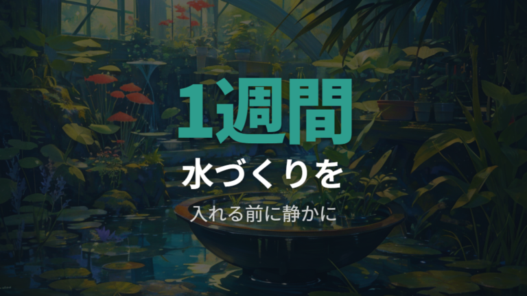 水づくりは状態を見ながら落ち着かせる