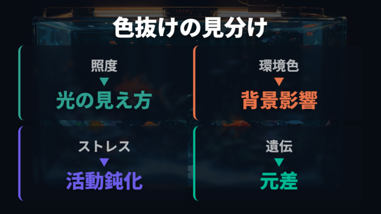 色抜けでフナに見える原因を見分ける