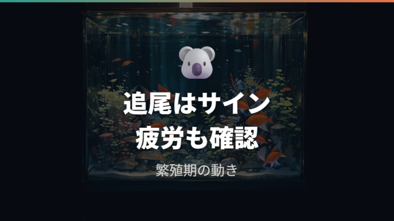 追尾行動から繁殖期の性別の可能性を観察する