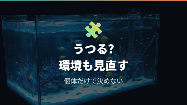 水カビ病はうつるのかを整理する