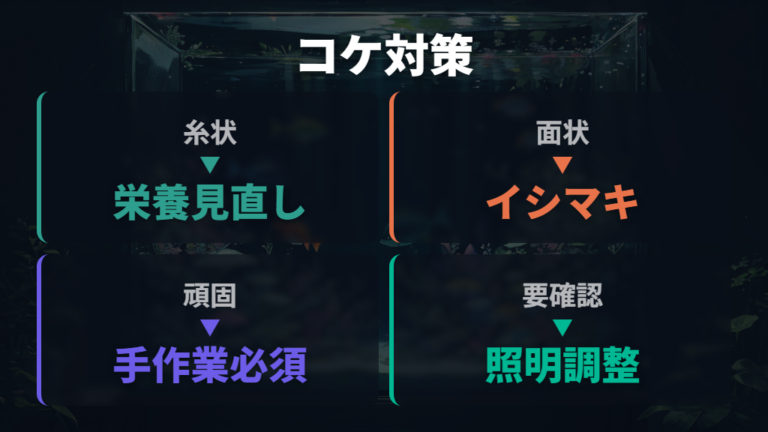コケ取り効果と注意点はコケの種類と管理で変わる