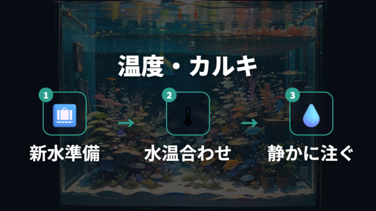水温差とカルキ抜きの注意点を先に整える