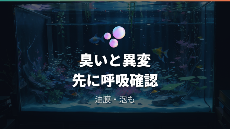 臭いや魚の異変の見分け方は呼吸・泳ぎ・水面を見る