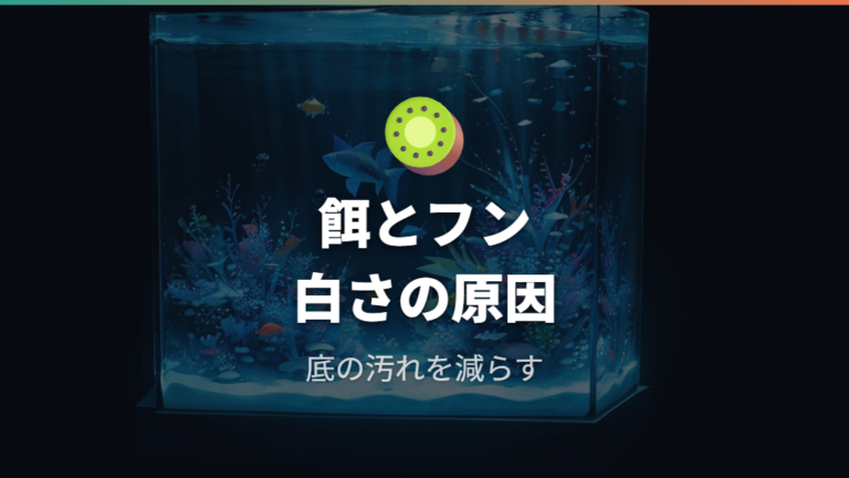 水質悪化で増える理由は餌やフンの有機物にある