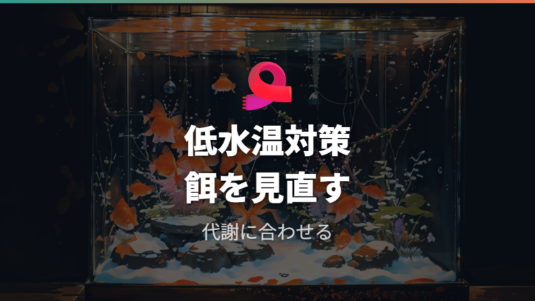 冬の低水温への備え方は餌と保温をセットで見る