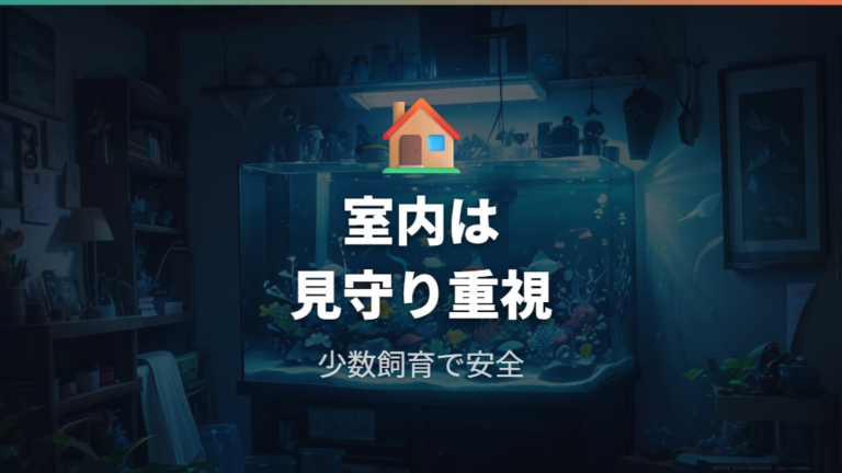 室内ポンプなし飼育は本当に大丈夫?