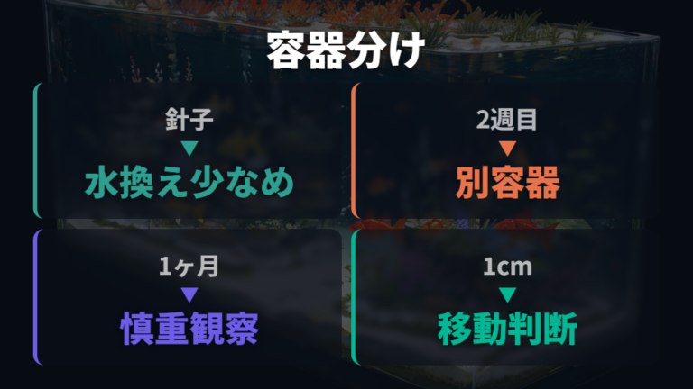 成長段階ごとの容器管理で針子から若魚まで分ける