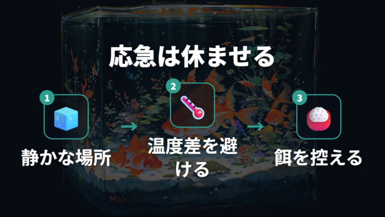 弱った金魚への応急処置は休ませることを優先する