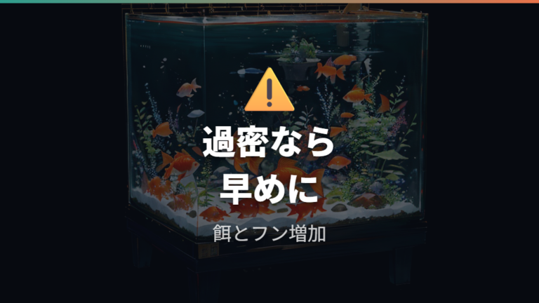 過密飼育で必要な水換え回数は早めに増やす