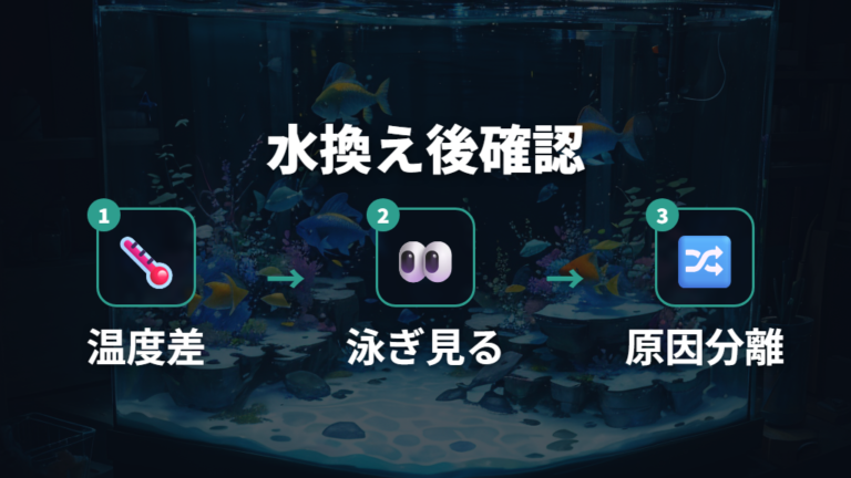 水温変化とストレスの影響を水換え後に確認する