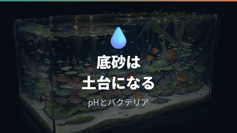 底砂が水質に与える影響はバクテリアを中心に考える