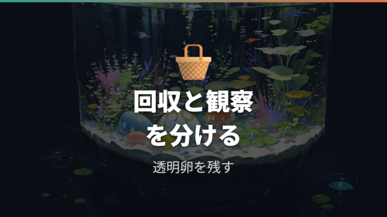 卵を別容器で管理する方法は回収と観察が基本