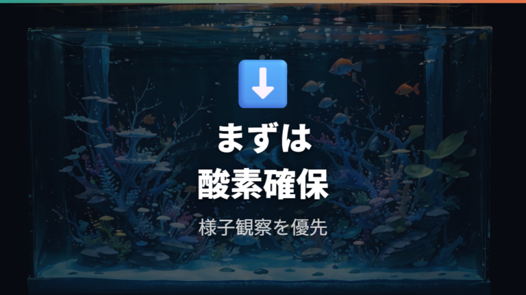 水換えしすぎた時の対処法はまず酸素確保と観察から始める