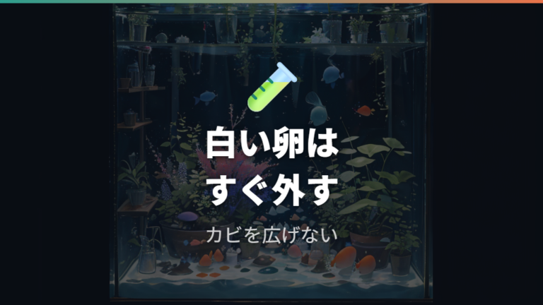 卵をカビさせない管理方法は白い卵の除去が基本