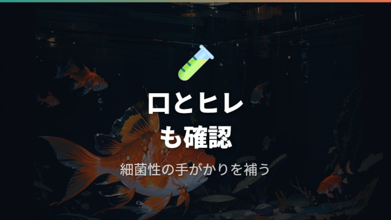 エラ病の主な原因がカラムナリス菌に近いケース