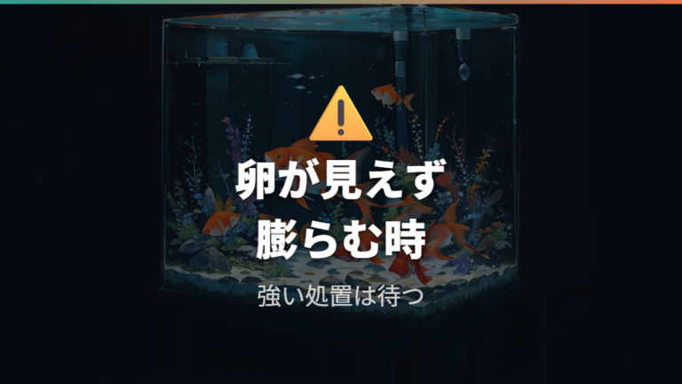 卵詰まりが疑われるお腹は産卵しないまま不調が出る