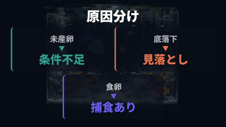 卵が見つからない主な原因を未産卵・落下・食卵で比べる