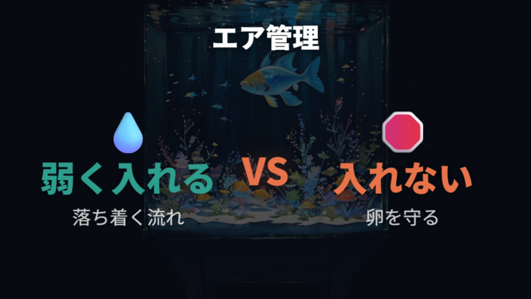 卵の管理にエアレーションは必要？弱い水流の考え方