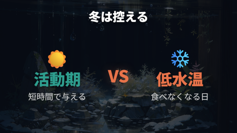 冬にエサを控える判断基準は水温と動きで見る