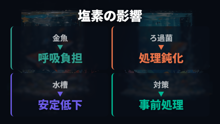 水道水の塩素が与える影響を魚とバクテリアで比べる