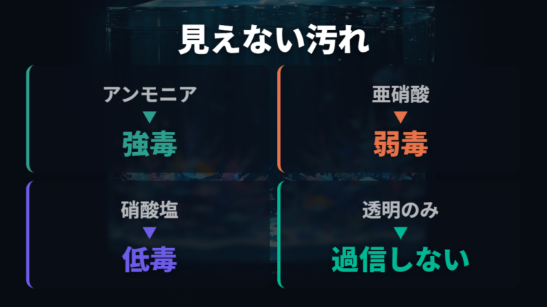 水質悪化と有害物質の関係を知って透明な水を過信しない