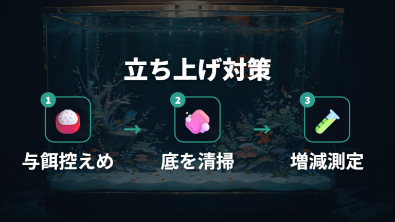 立ち上げ直後に多い水質悪化はバクテリア不足を疑う