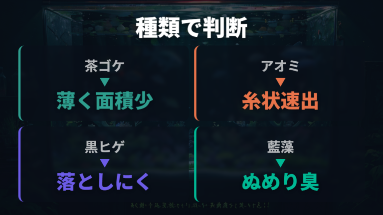 放置しやすいコケと早めに掃除したいコケを見た目で分ける