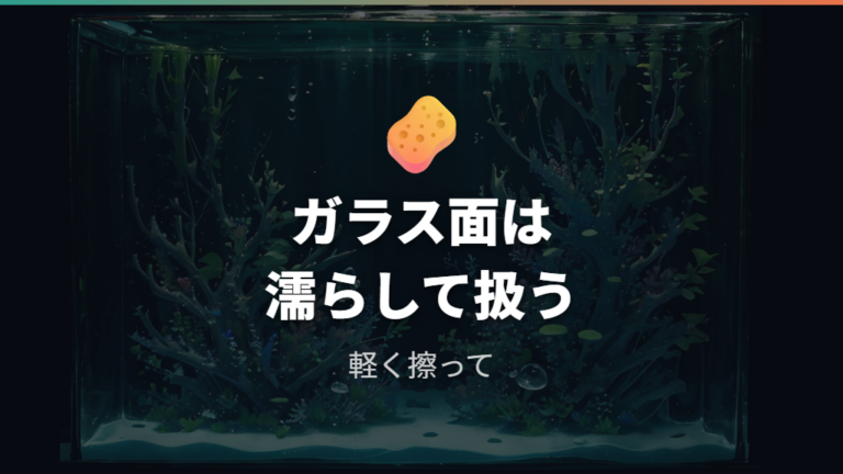 メラミンスポンジはガラス面の軽いコケ落とし候補になる