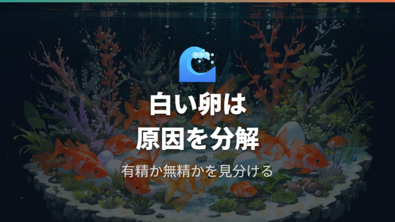 白い卵をエビがつつく時は卵の状態から見る