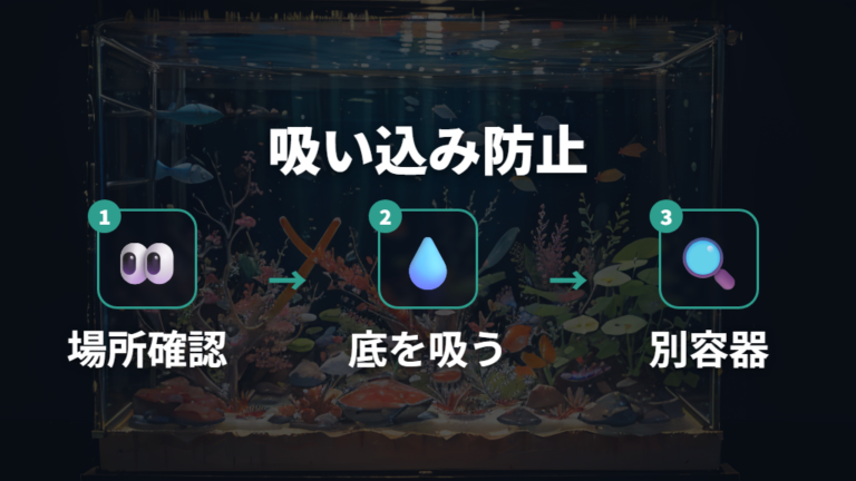 稚魚を死なせない水替え手順は吸い込み防止から始める
