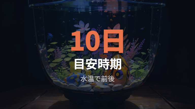 孵化までの卵の変化を日数ごとに追う