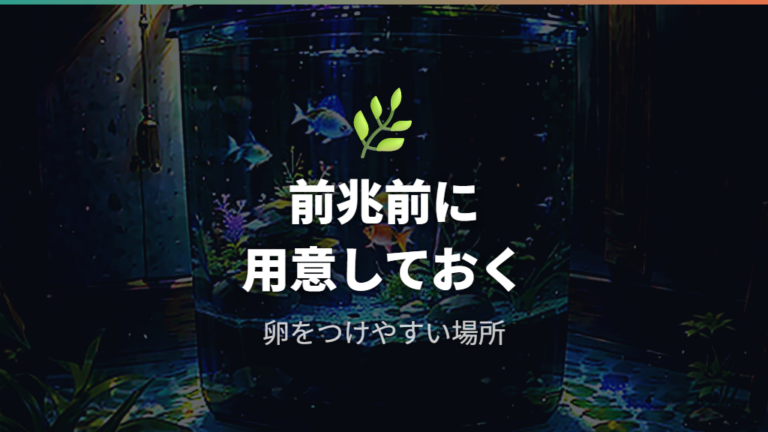 産卵床を入れるタイミングは前兆前から確認する