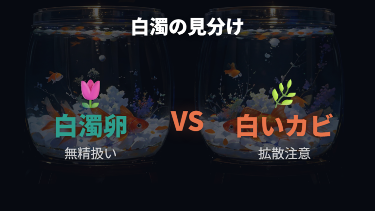 白い卵とカビた卵の見分け方は白濁とモヤを分ける