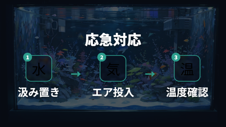 カルキ抜きがない時の応急処置でできることと避けたいこと