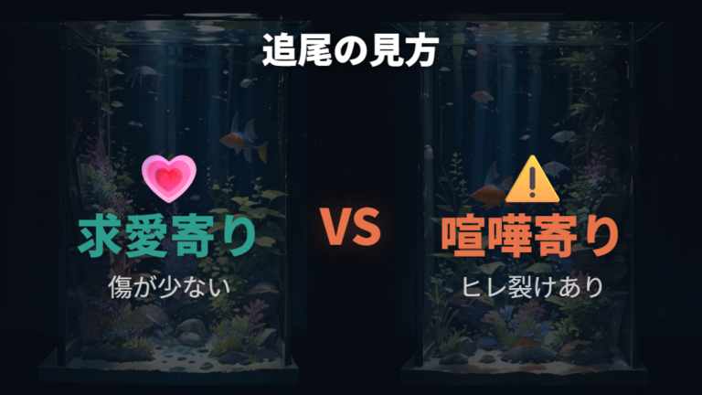 交尾前に見られる行動は求愛か喧嘩かを観察する