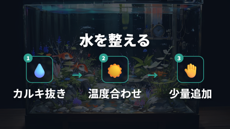 掃除中の水換え量と水質変化の注意点はカルキ抜きと水温合わせに出る