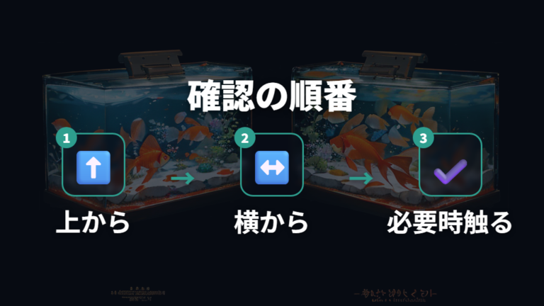 上から横から見る確認方法でお腹と総排泄腔を見比べる
