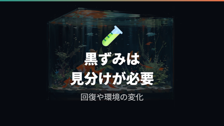 黒ずみや茶色化と飼育環境の関係を確認する