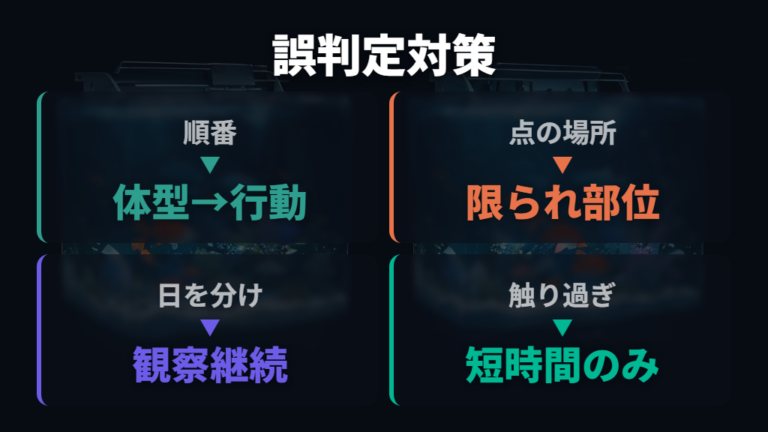 初心者が間違えやすい判定ポイントを避ける