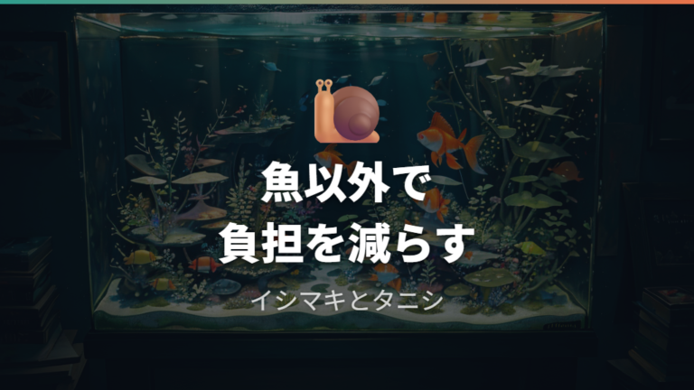 魚以外の掃除役という選択肢は貝を中心に考える