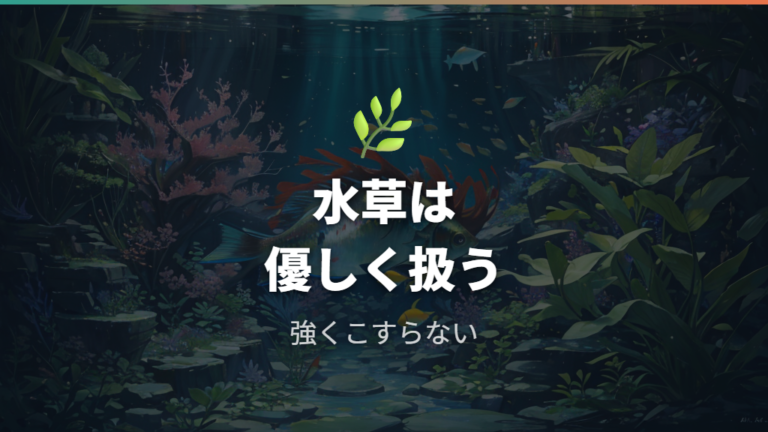 水草を傷めない掃除方法は強くこすらないこと