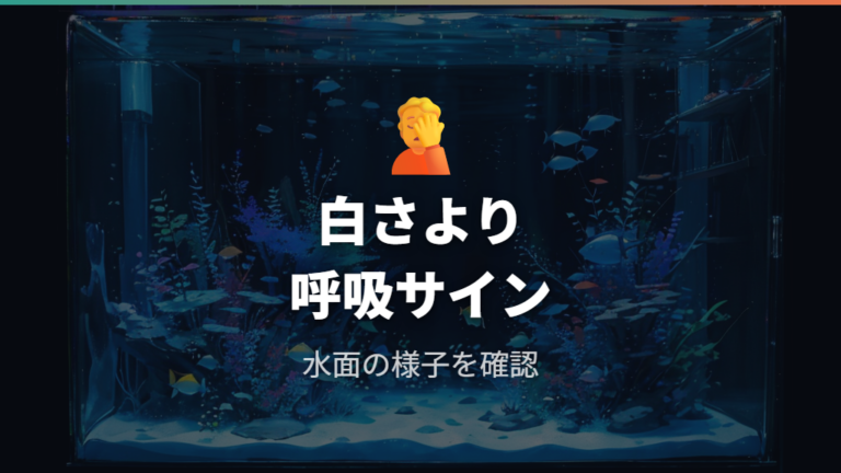 魚やエビへの影響は酸欠サインと水質悪化の可能性を見る