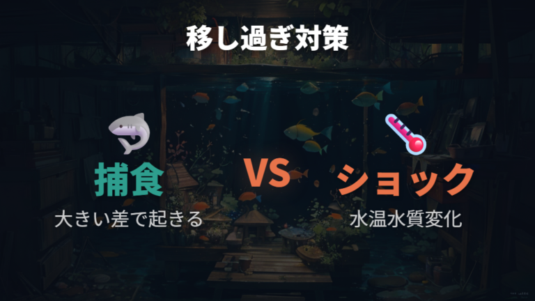 早く移しすぎるリスクは捕食と環境ショックに分けて考える