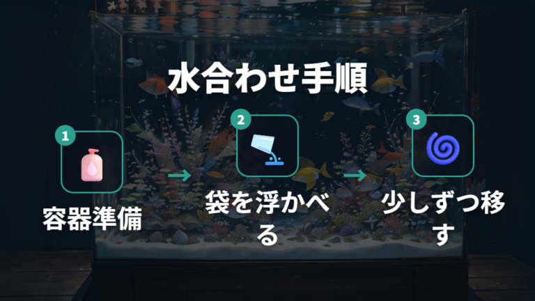 持ち帰り後の水合わせのやり方を順番に確認する