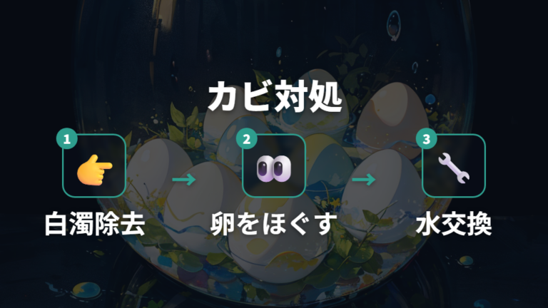 卵にカビが生えたときの対処を順番に行う
