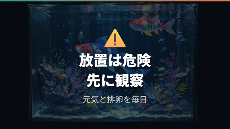 放置したときの危険性を知って早めに観察する