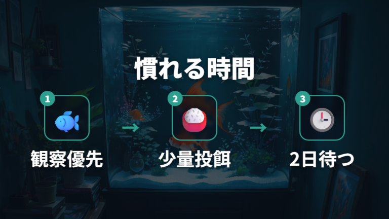 迎えた直後に食べない場合は環境に慣れる時間を取る