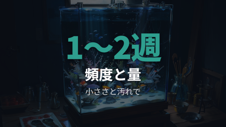 水換え頻度と量の目安は水槽サイズと汚れ方で変える